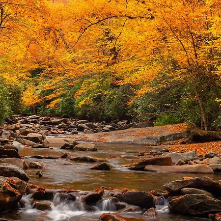 Peace, Serenity & Relaxation In The Smokies! Гатлинбург Экстерьер фото