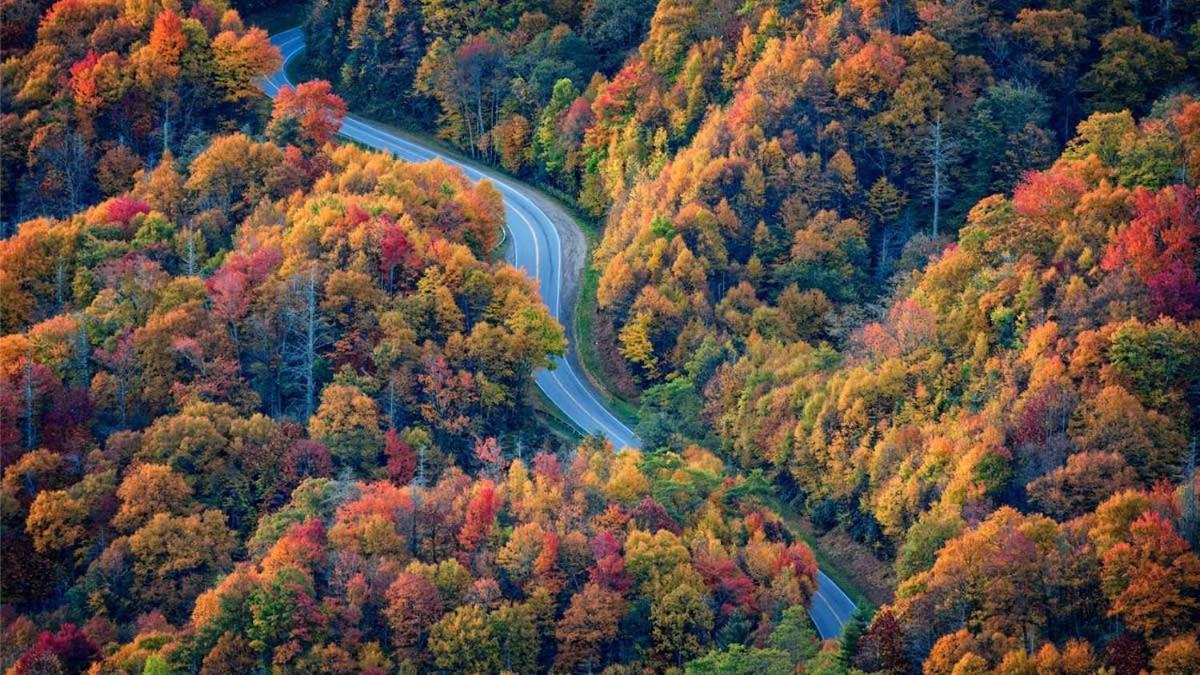 Peace, Serenity & Relaxation In The Smokies! Гатлинбург Экстерьер фото