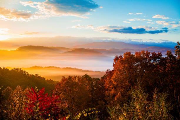 Peace, Serenity & Relaxation In The Smokies! Гатлинбург Экстерьер фото